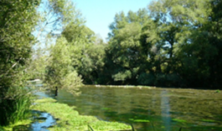 il fiume Sele